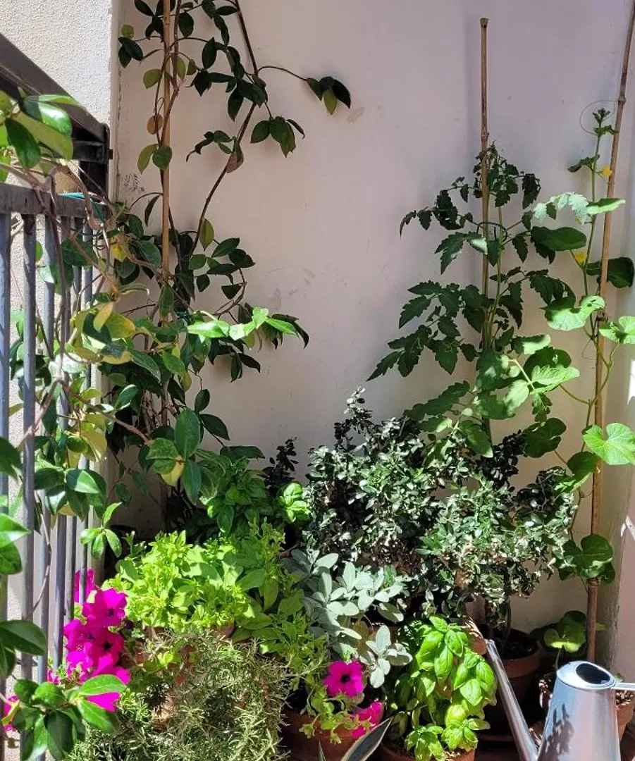 Apartamento Vista Su Giardini Storici In Oltrarno Florencia