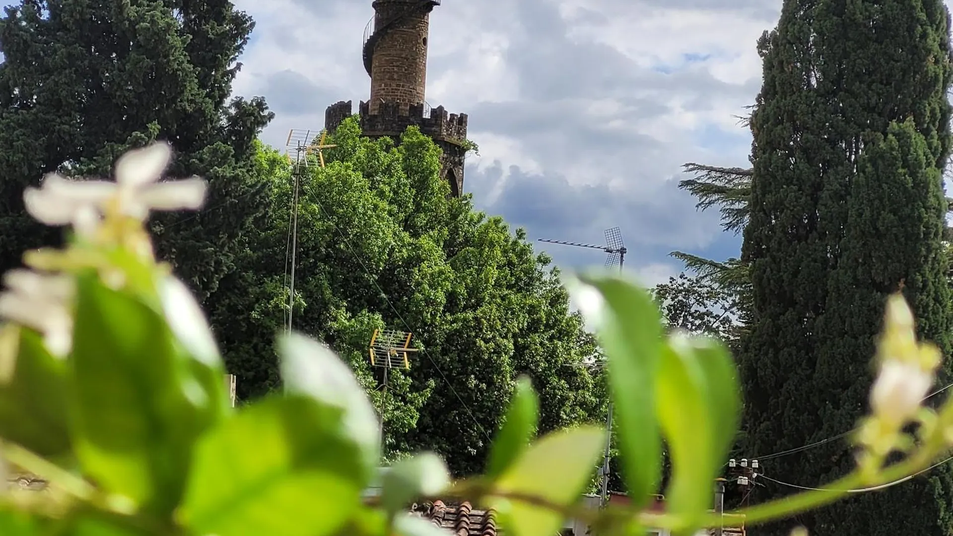 Vista Su Giardini Storici In Oltrarno Apartment Florence 0*,
